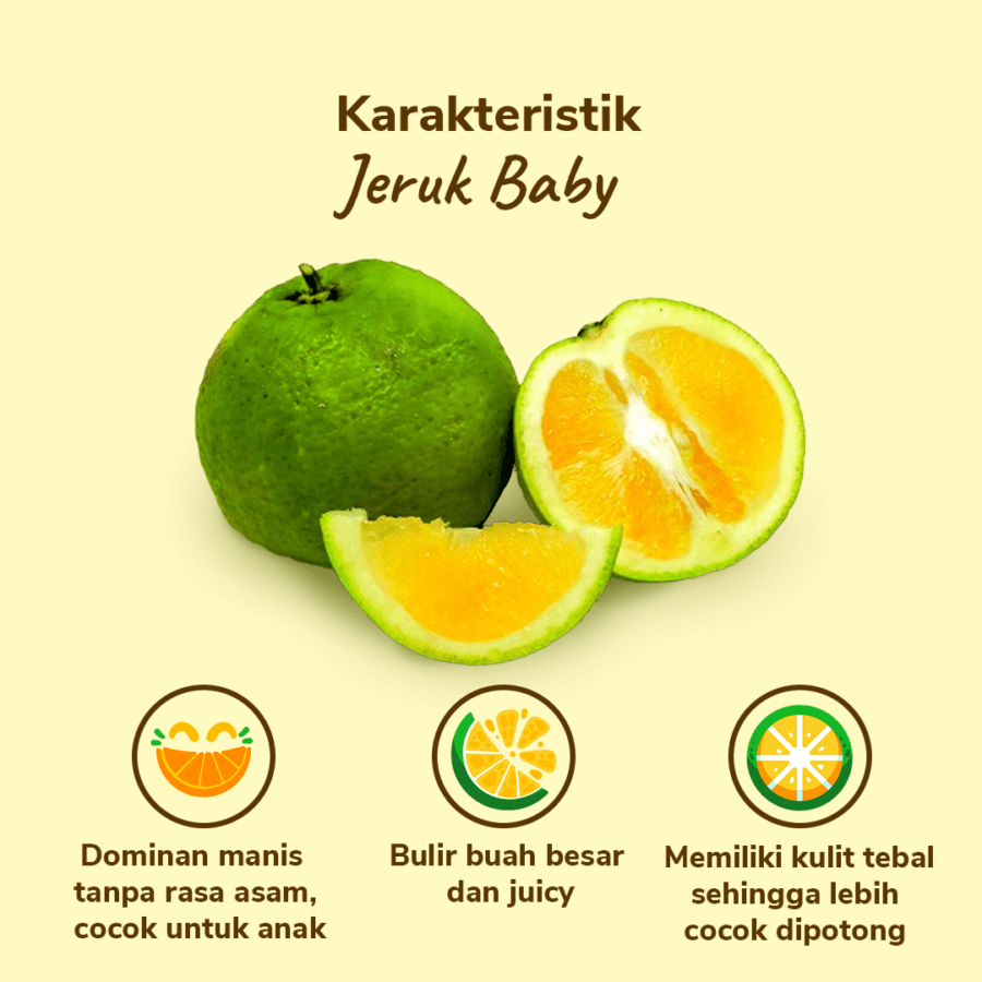 Jeruk Baby Lokal Astro Farm 3-4 pcs 460-500gram
