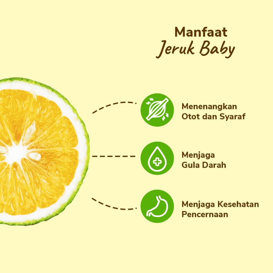 Jeruk Baby Lokal Astro Farm 3-4 pcs 460-500gram