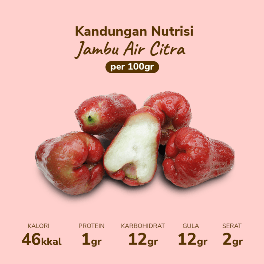 Jambu Air Citra Astro Farm 4-7 pcs 400-500gram