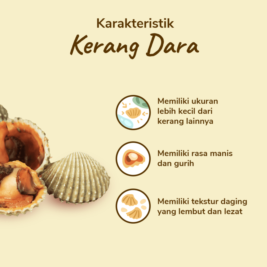 Kerang Dara Utuh Besar Astro Farm 500gram