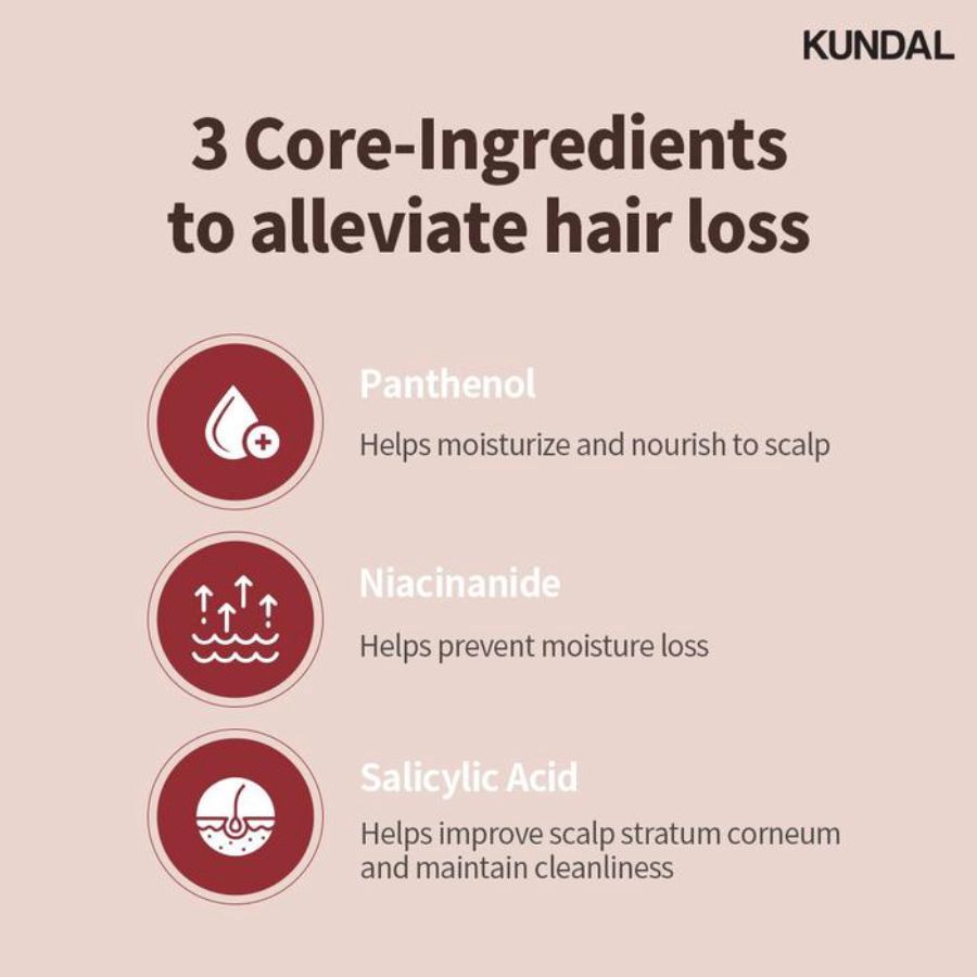 Kundal Scalp Care and Caffeine Baby Powder Shampoo 500ml