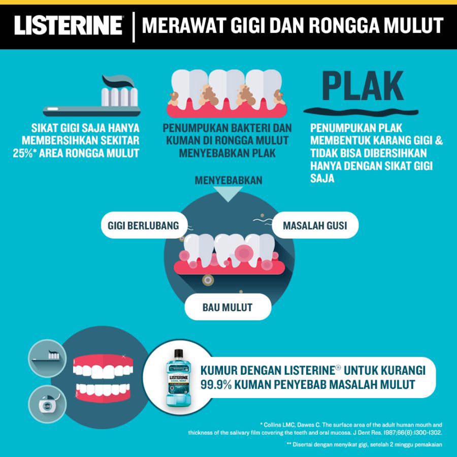 Listerine Cool Mint Antiseptic Mouthwash 500ml