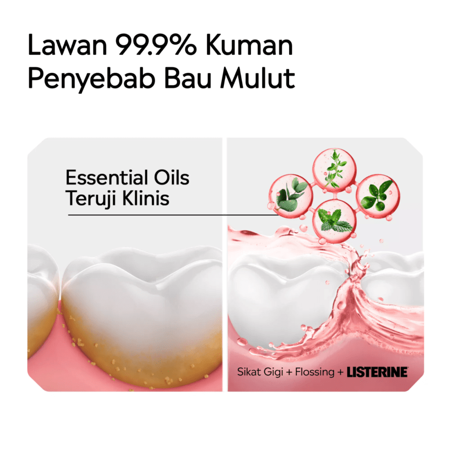 Listerine Watermelon Mint Mouthwash 250ml