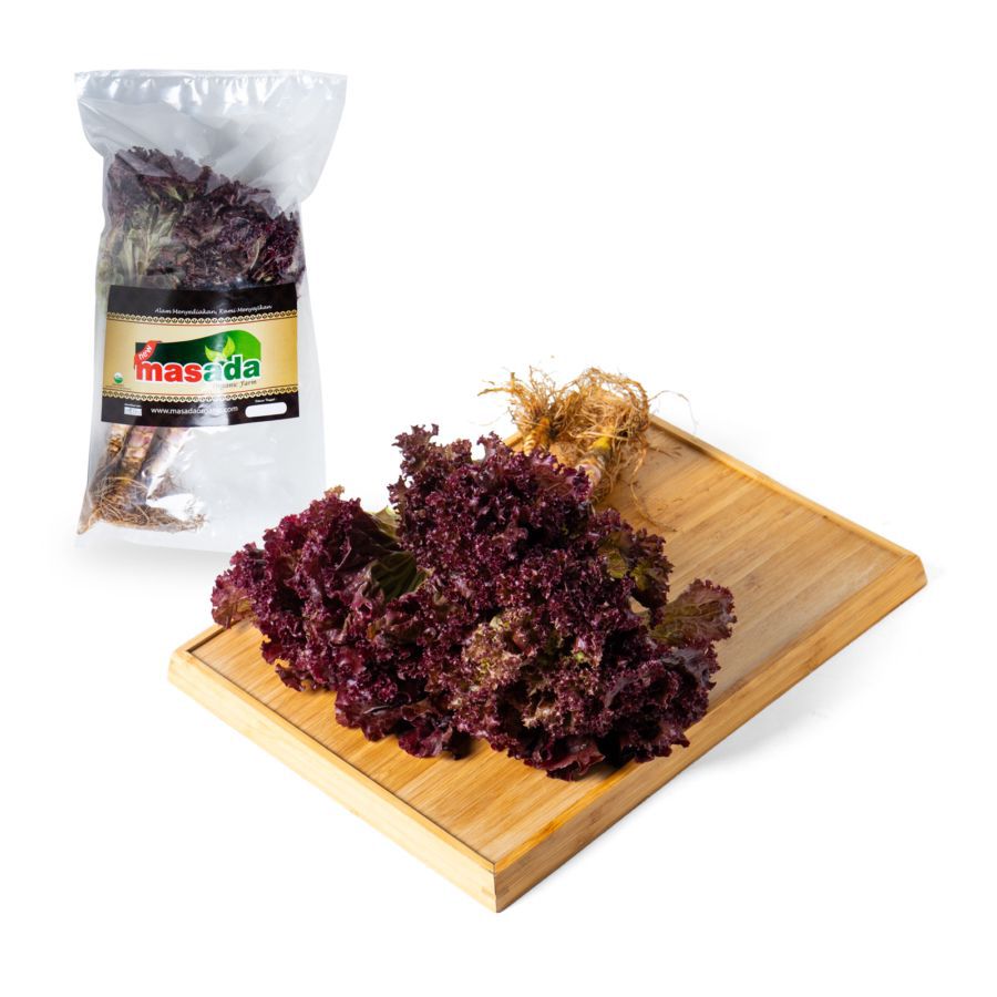 Selada Lolorosa Organik 200gram
