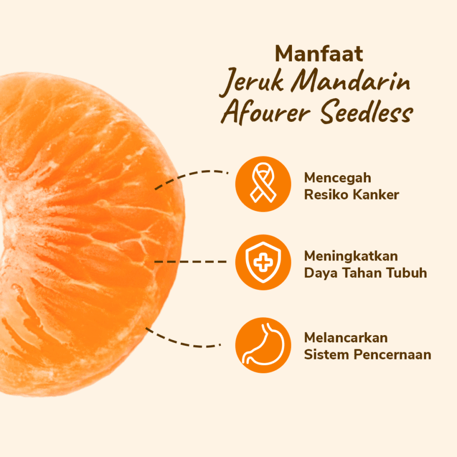 Jeruk Mandarin Afourer Seedless Astro Farm 3-7 pcs 500-550gram