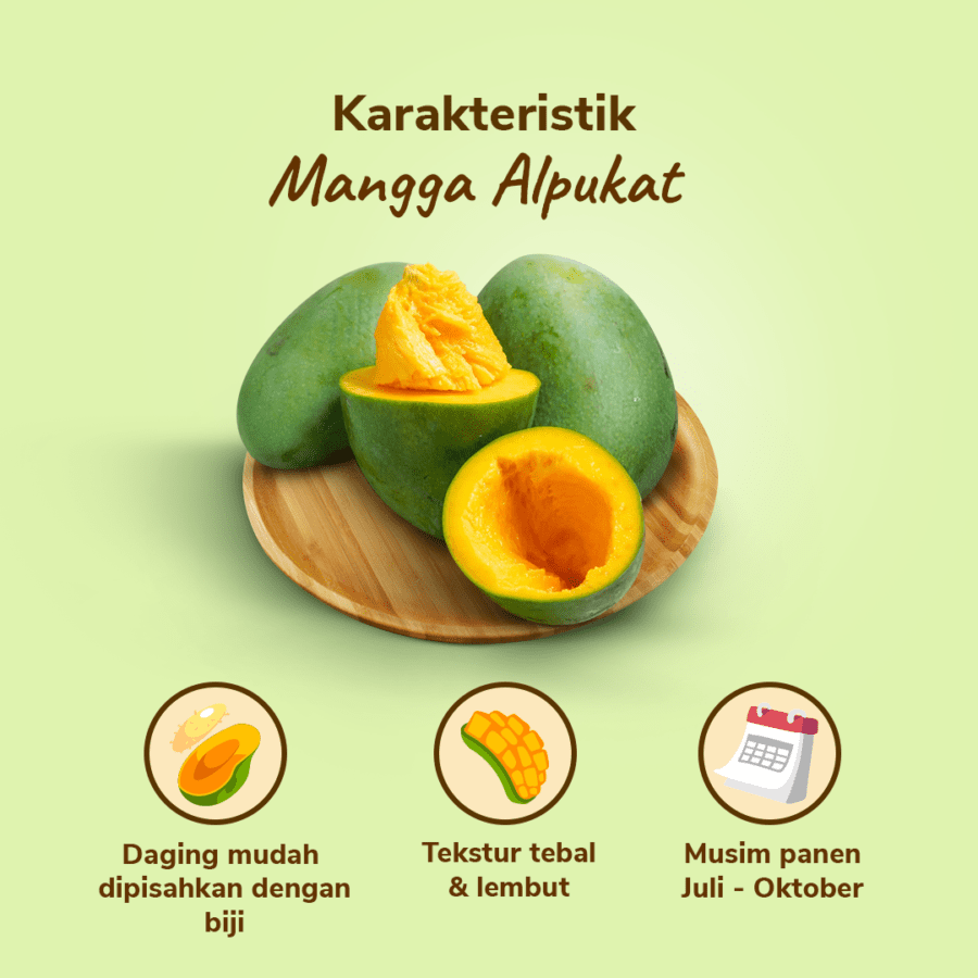 Mangga Alpukat Astro Farm 3-4 pcs 900-1000gram