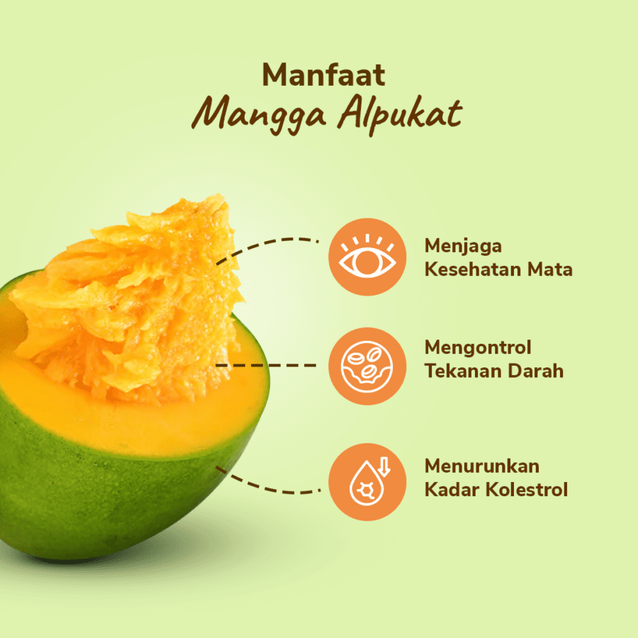 Mangga Alpukat Astro Farm 3-4 pcs 900-1000gram