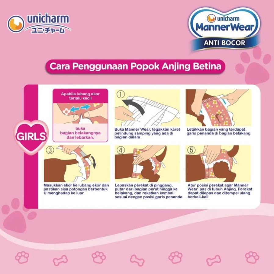Manner Wear Anti Bocor Popok Anjing Betina S10 1pack