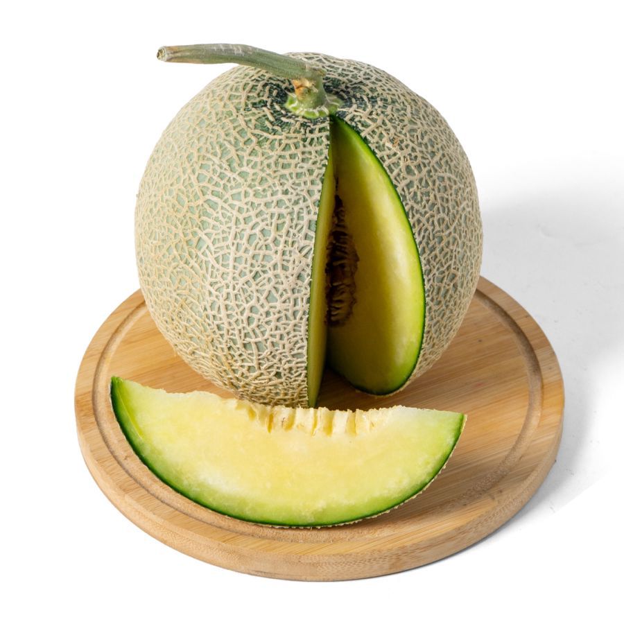 Melon Fujisawa Hidroponik Astro Farm 1pcs