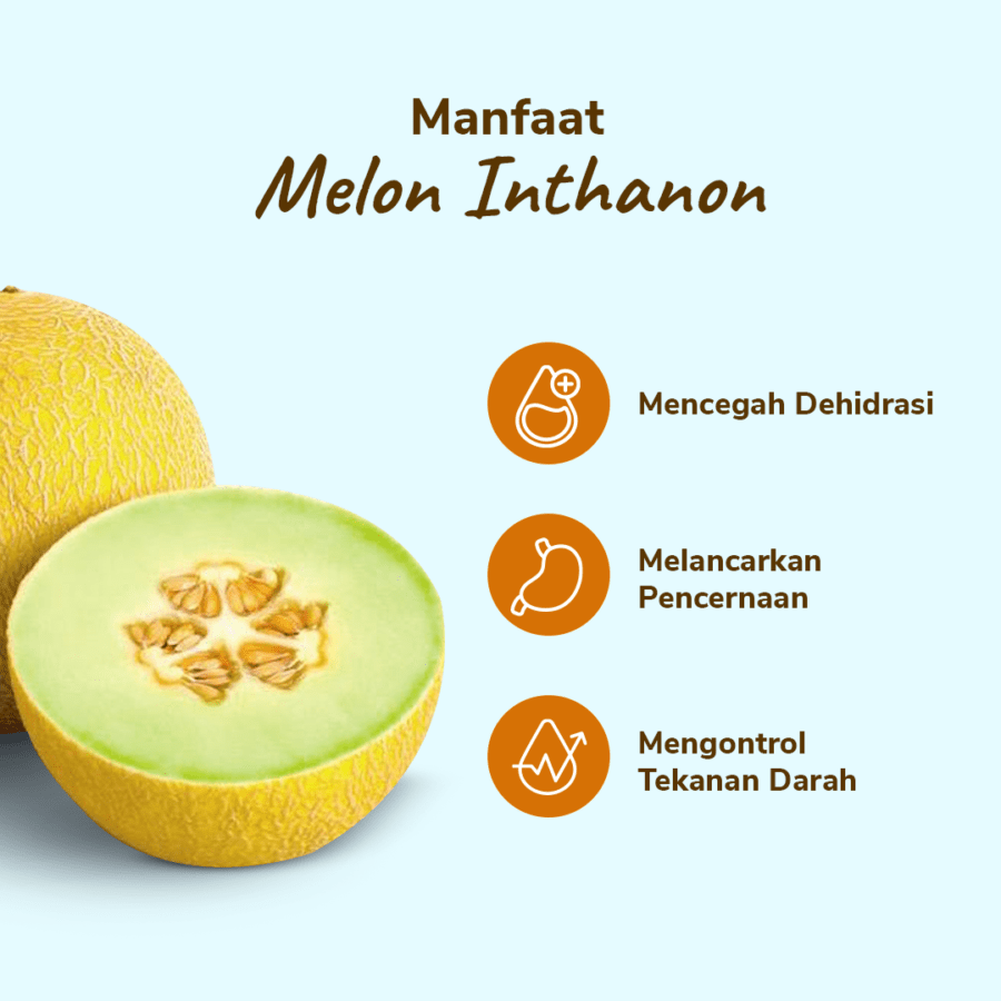 Melon Inthanon Astro Farm 1 pcs 900-1200gram
