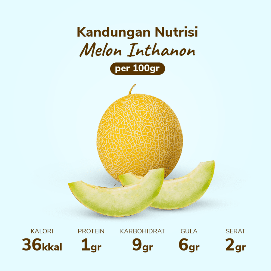 Melon Inthanon Astro Farm 1 pcs 900-1200gram