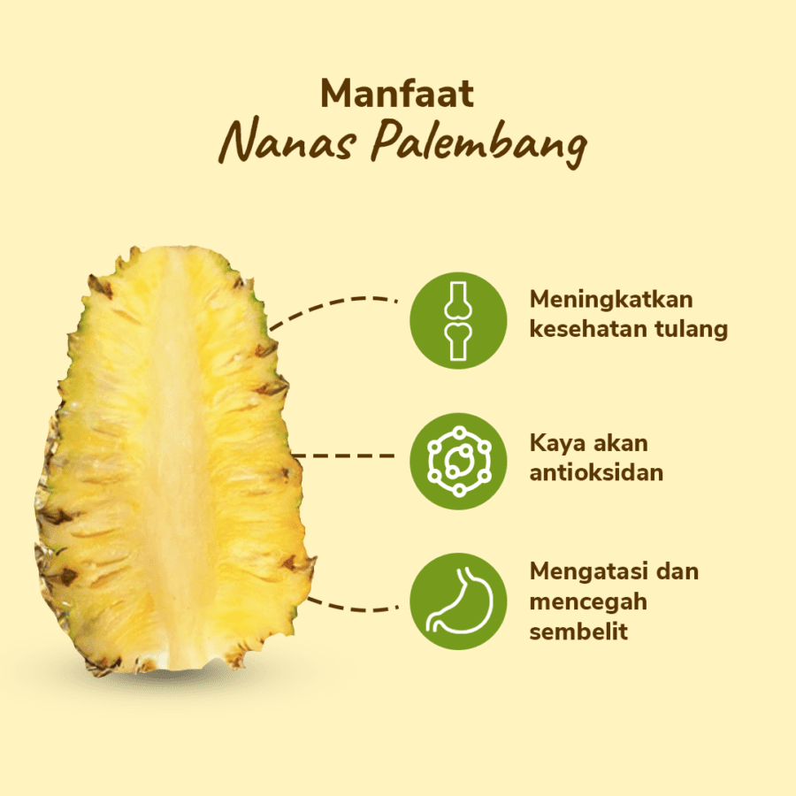 Nanas Palembang Astro Farm 1 pcs 800-1000gram