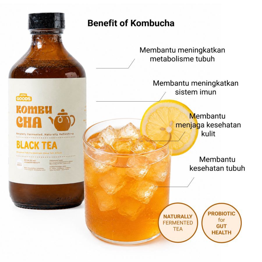 Kombucha Black Tea Teh Fermentasi Astro Goods 330ml