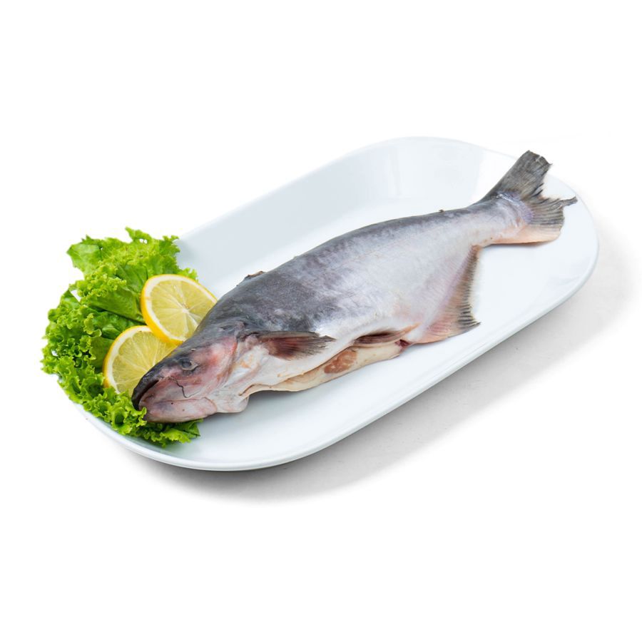 Ikan Patin Utuh Bersih 500-600gram 1pcs