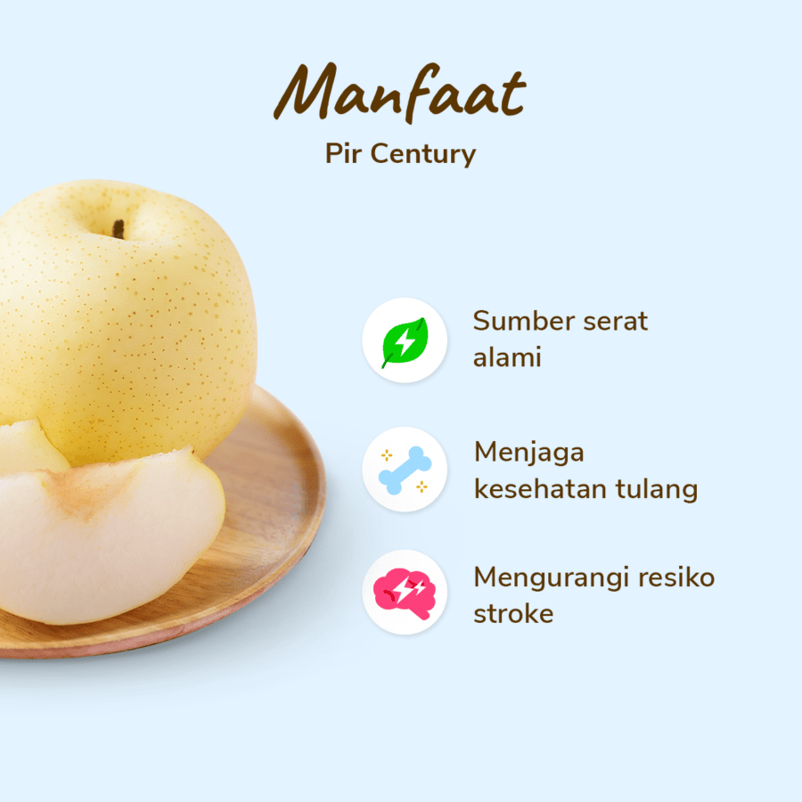 Pear Century Astro Farm 2-3 pcs 450-500gram
