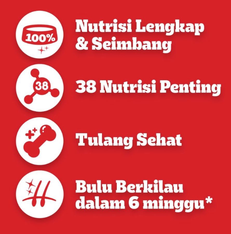 Pedigree Beef & Vegetable Adult Makanan Anjing Kering 3kg