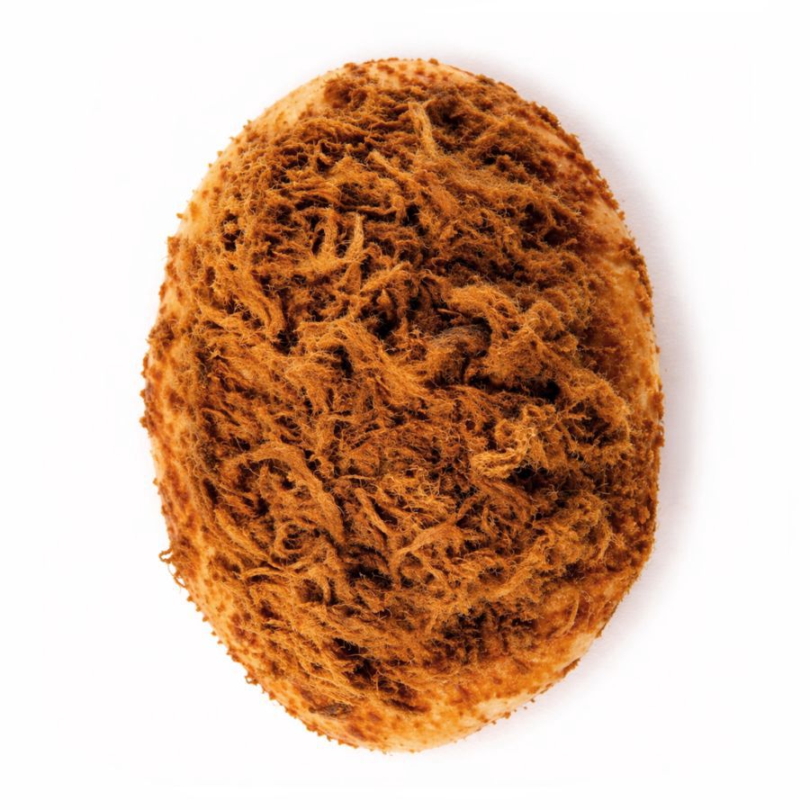 Roti Abon 1pcs