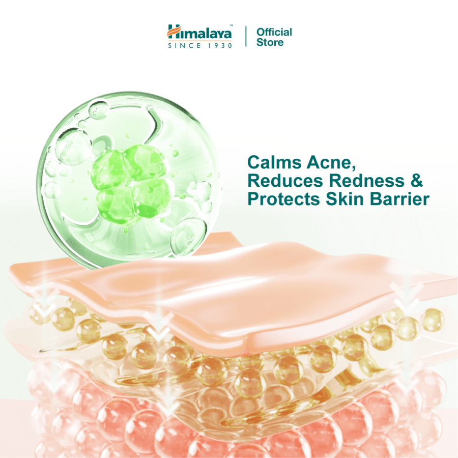 Himalaya Purifying Neem Stick Face Mask 30gram