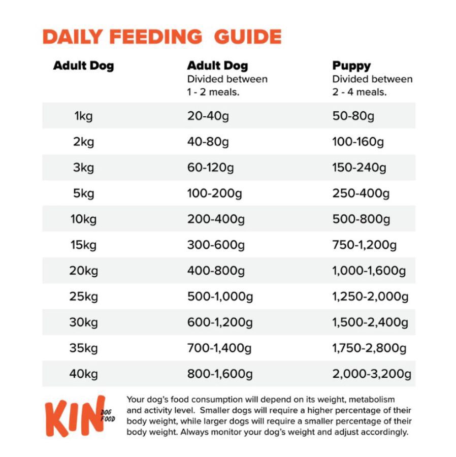 KIN Chicken Chia Blueberries Raw Makanan Anjing Basah 500gram