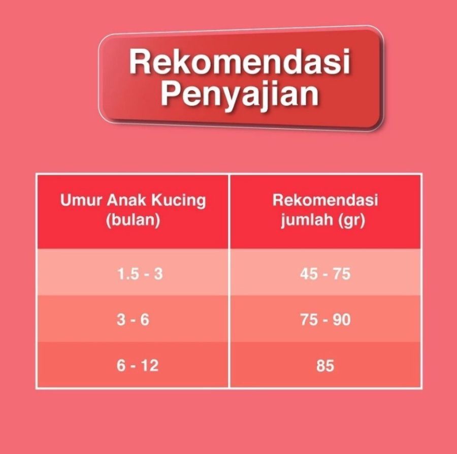 Friskies Discoveries Kitten Makanan Kucing Kering 1000gram
