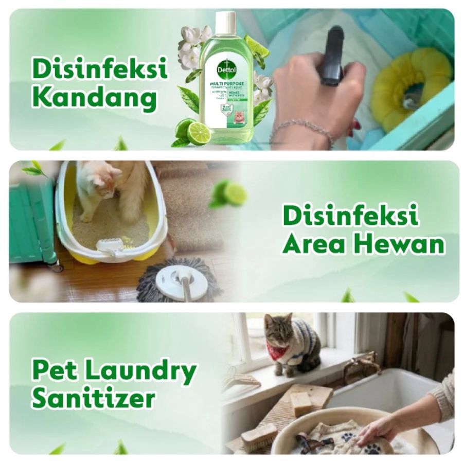 Dettol Multipurpose Tea & Citrus Disinfectant Liquid 1000ml