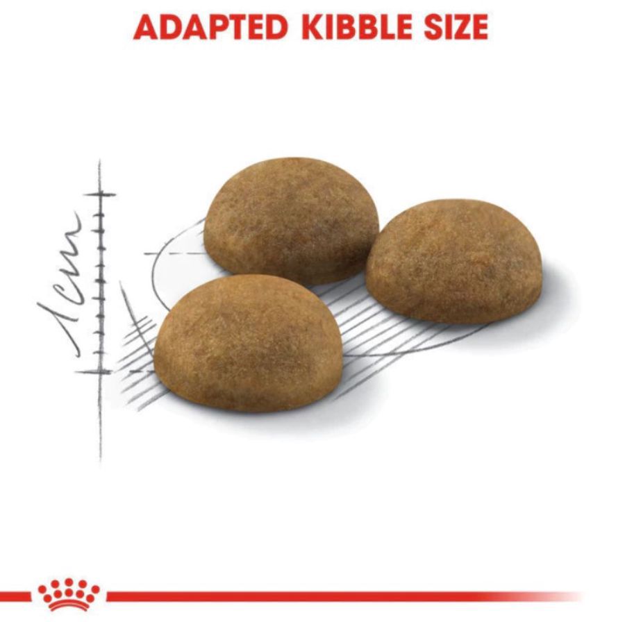 Royal Canin Indoor Long Makanan Kucing Kering 400gram