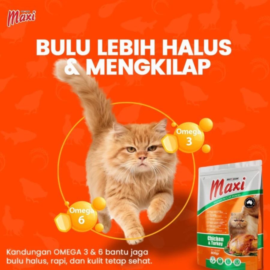 Maxi Chicken & Turkey Makanan Kucing Kering 800gram