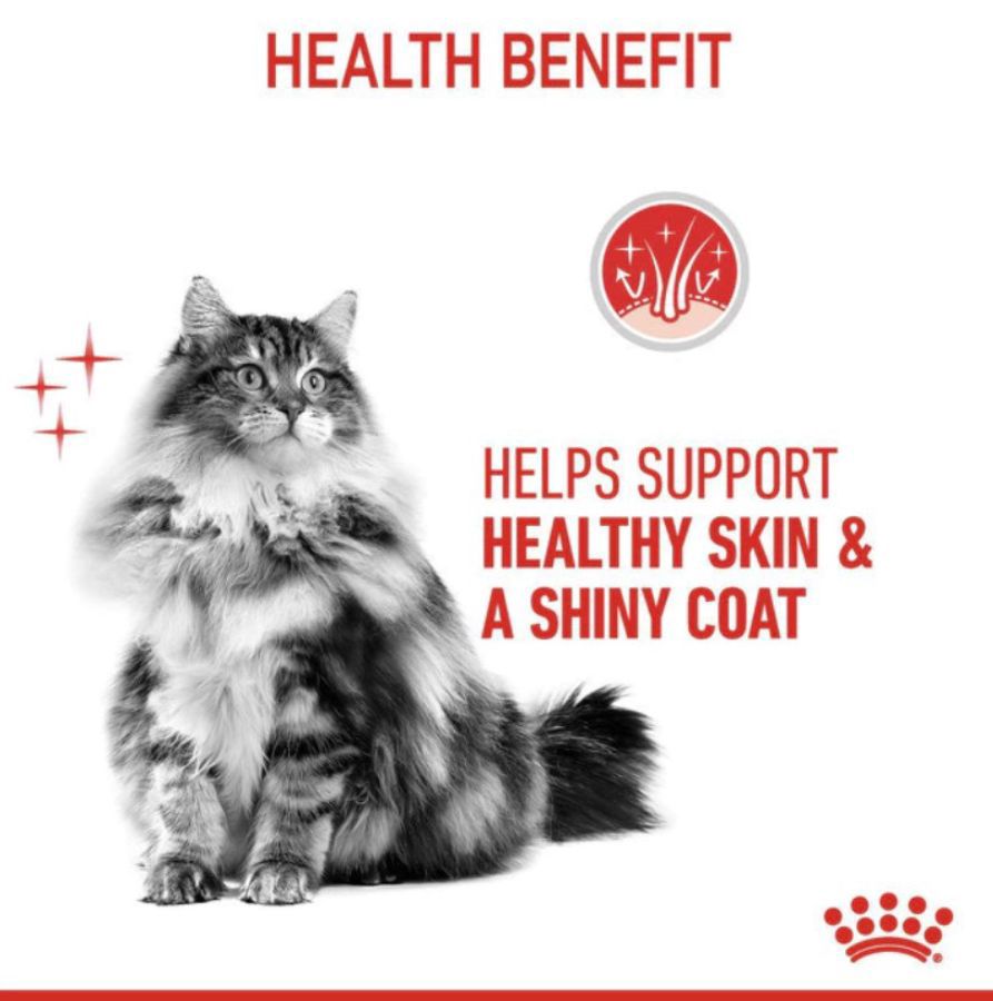 Royal Canin Care Hair & Skin Makanan Kucing 2kg