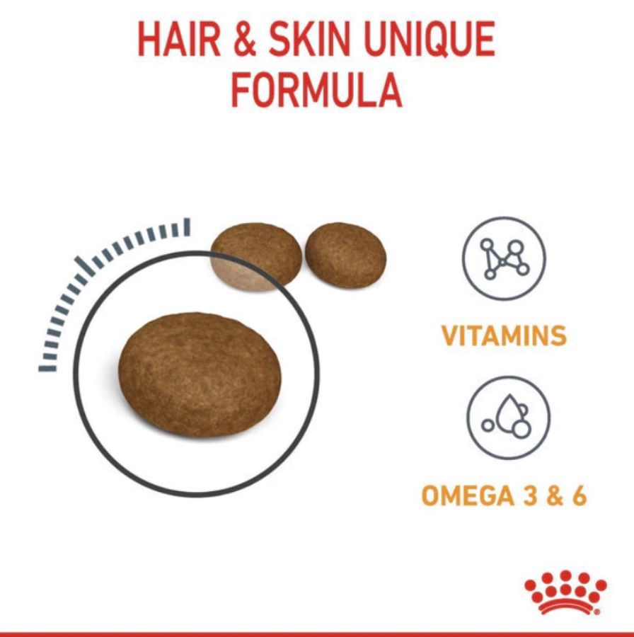 Royal Canin Care Hair & Skin Makanan Kucing 2kg
