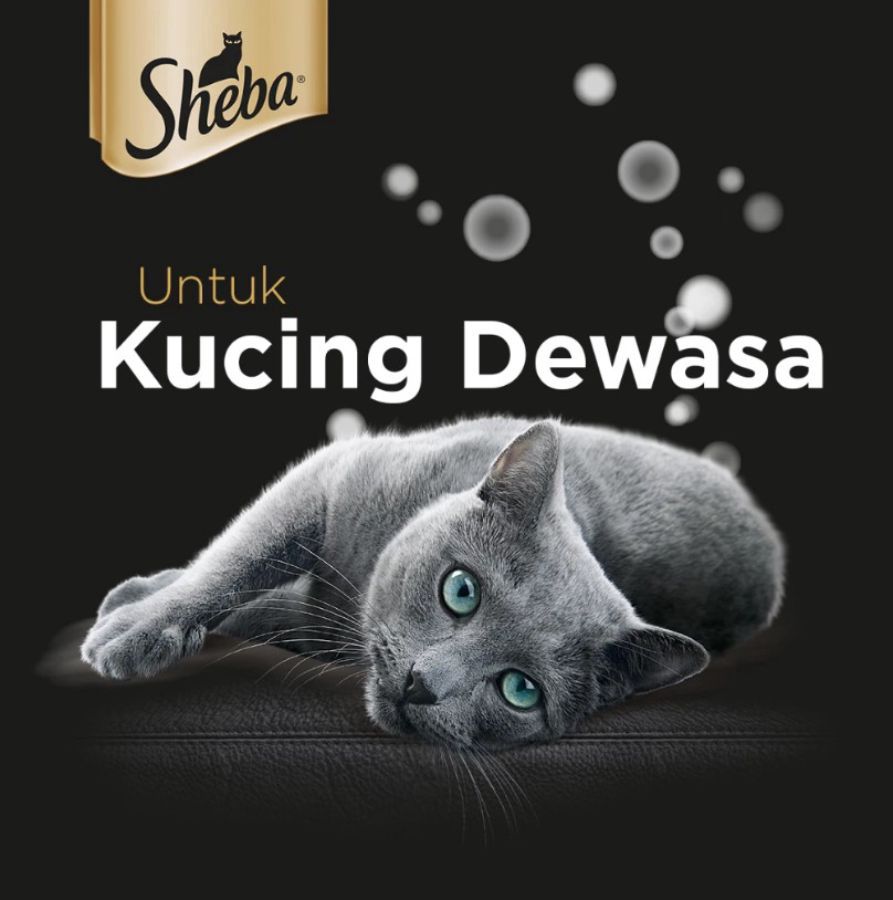 Sheba Fine Food Tuna Salmon Makanan Kucing Basah 70gram