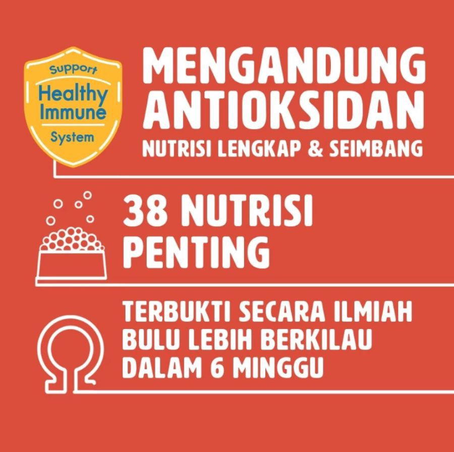 Pedigree Beef & Vegetable Adult Mini Makanan Anjing 1300gram