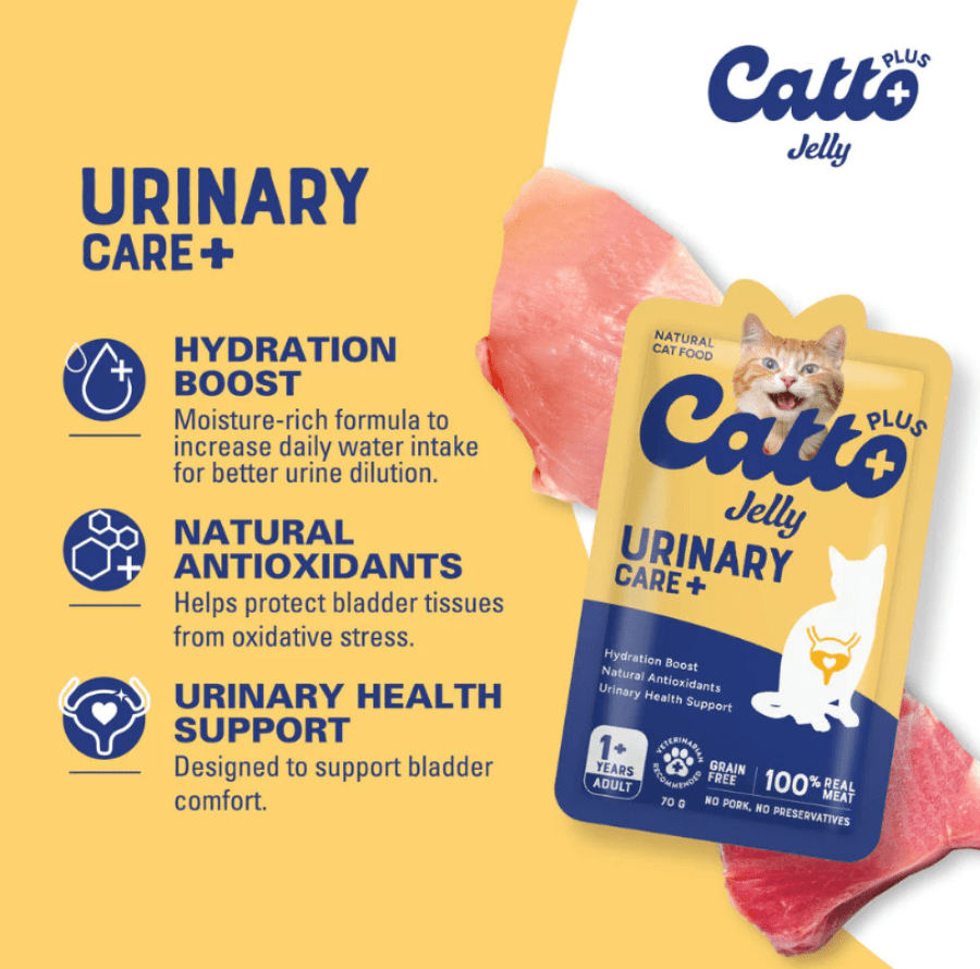 Catto Plus Jelly Urinary Makanan Kucing Basah