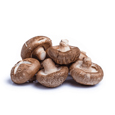 Jamur Shitake