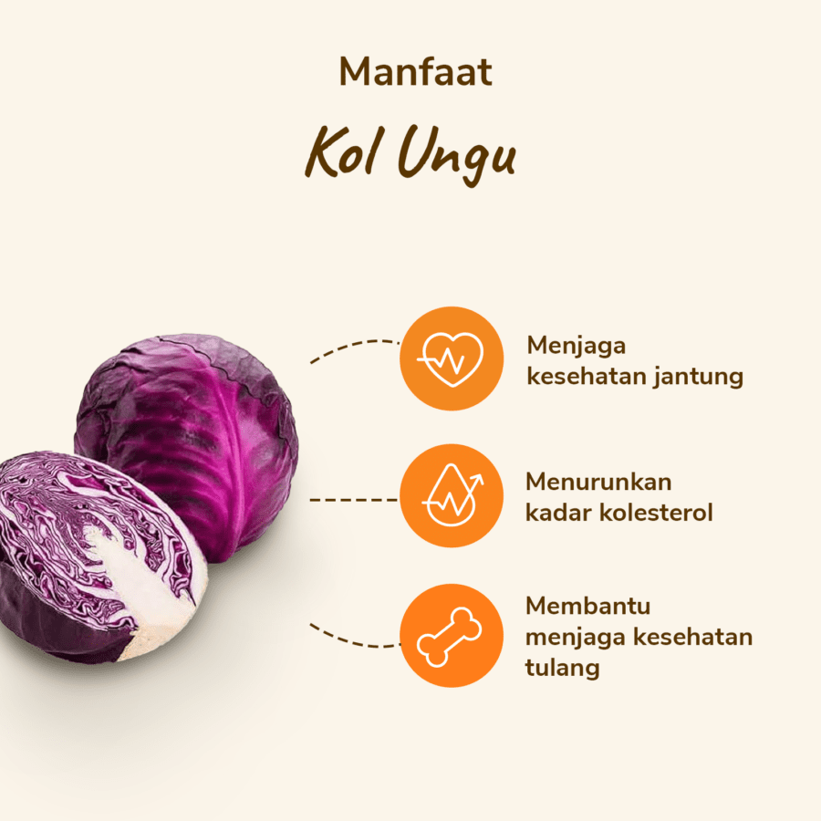 Kol Ungu Astro Farm 1 pcs 400-450gram
