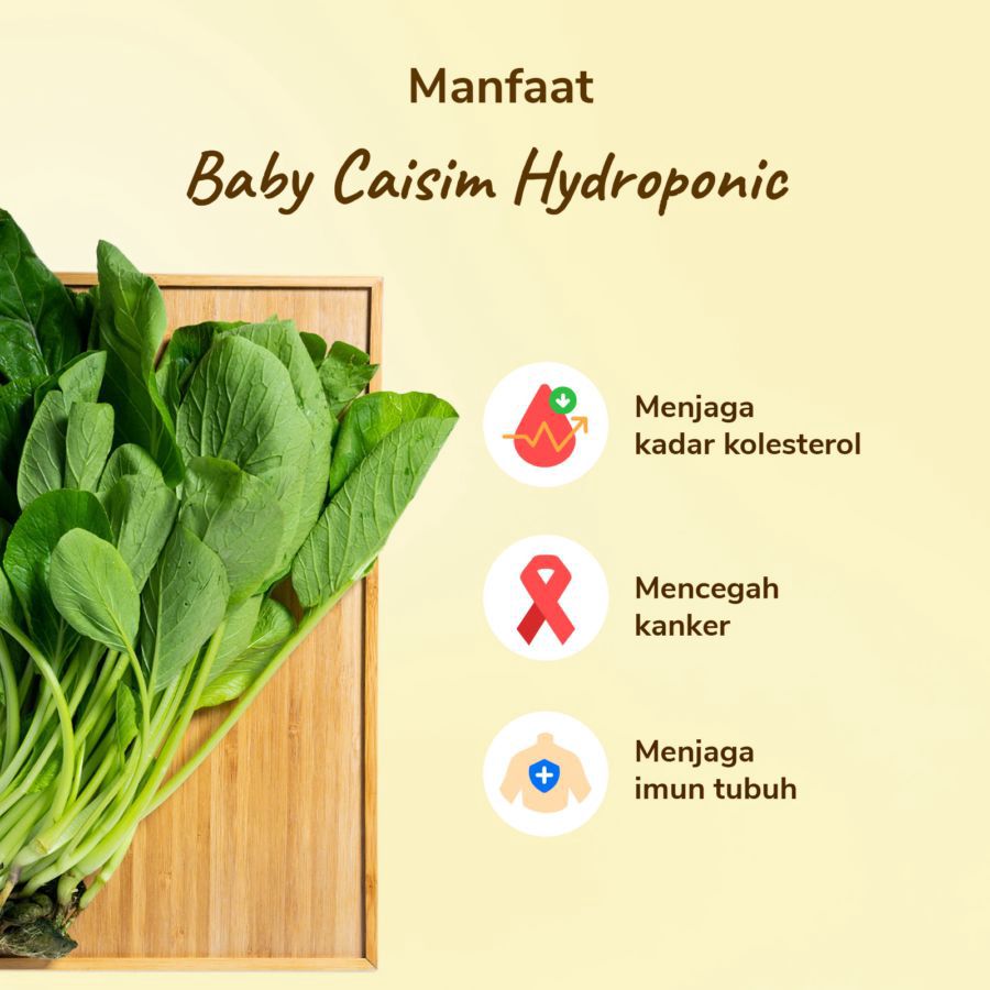 Baby Sawi Hijau Hydroponic Astro Farm 200gram