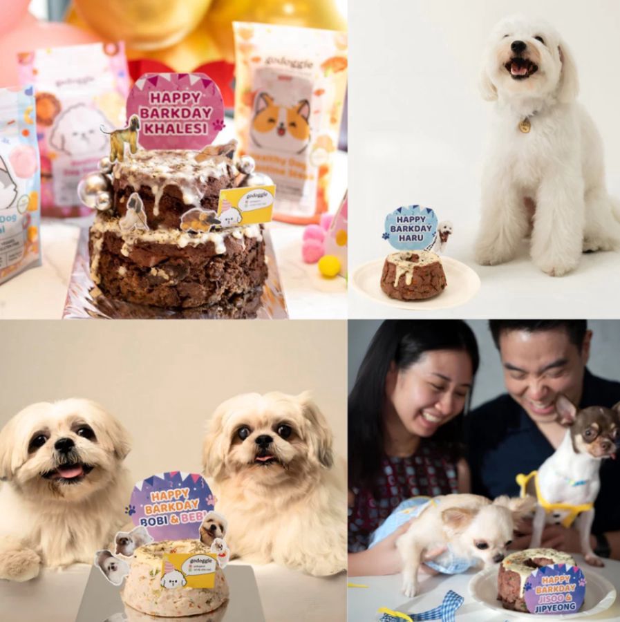 Godoggie Healthy Chicken Barkday Cake 350gram