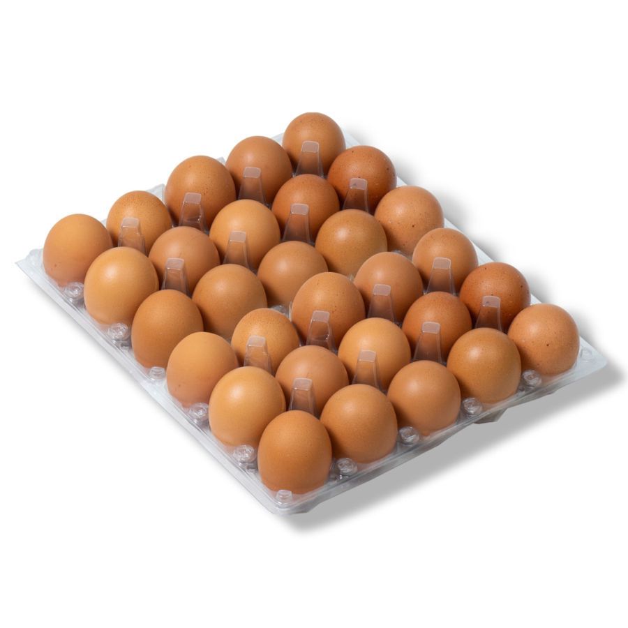 Telur Ayam Negeri Astro Farm 30butir