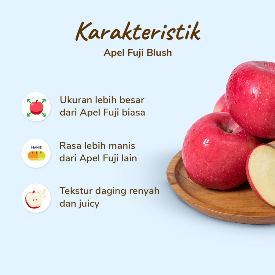 Apel Fuji Blush Premium Size L 2-3 pcs 400-500gram