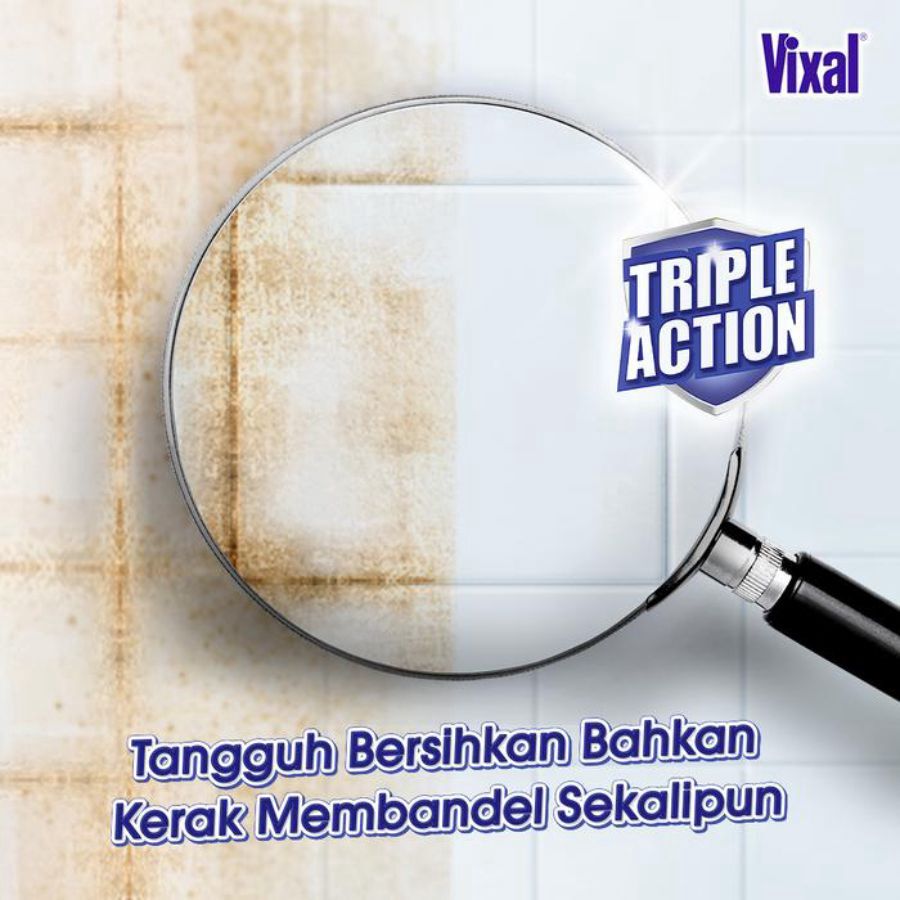 Vixal Ekstra Kuat Pembersih Porselen 700gram