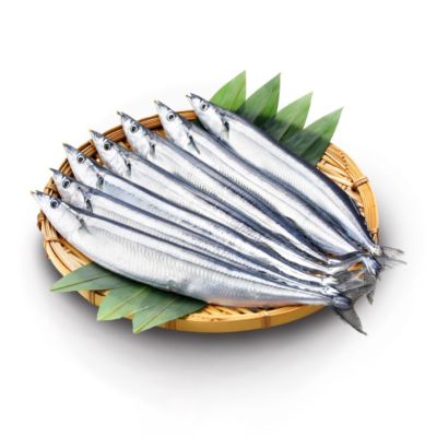 Ikan Capelin Komochi Shishamo
