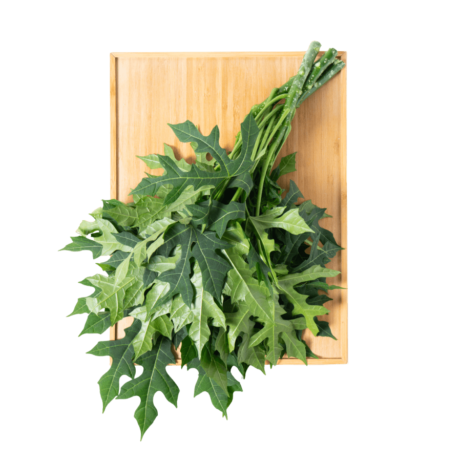 Daun Pepaya Jepang Astro Farm