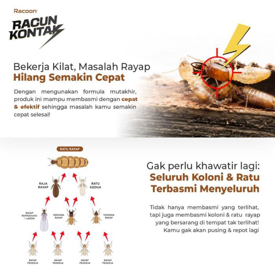 Racoon Arap Racun Kontak Anti Rayap Quick Action
