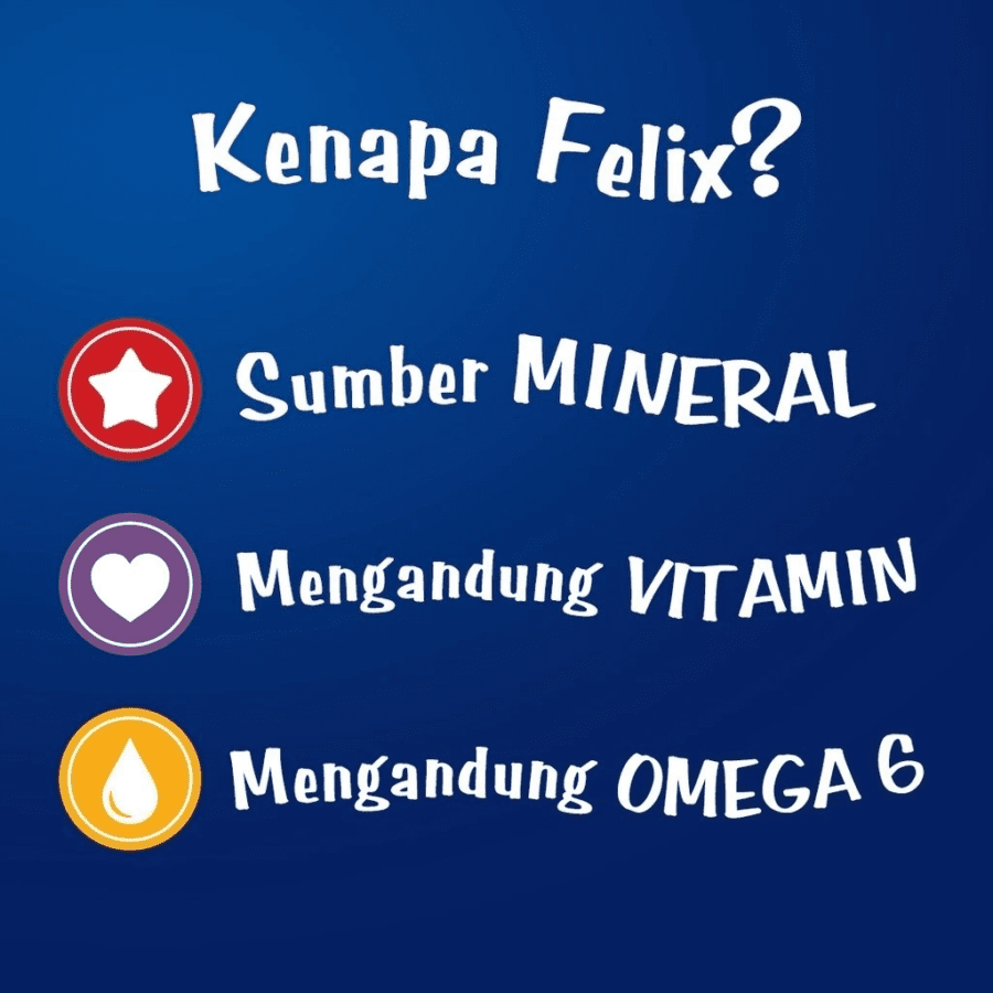 Purina Felix Salmon Adult Makanan Kucing Basah 85gram
