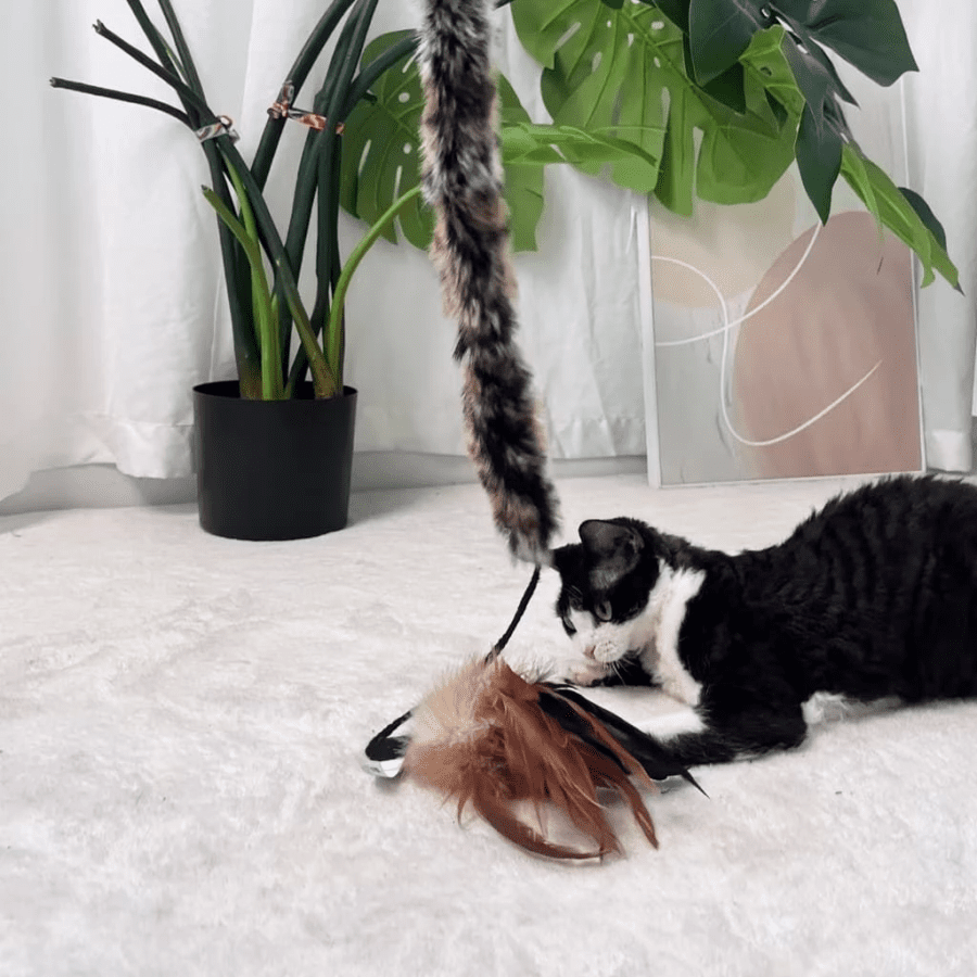 GiGwi Fishing Feather Teaser Stick Mainan Kucing 1pcs