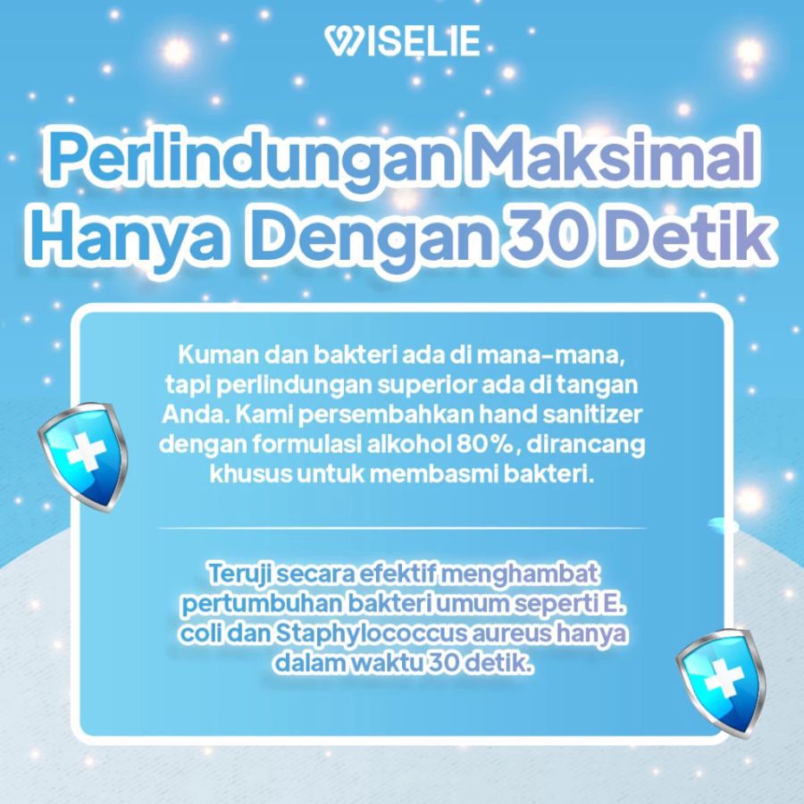 Wiselie Hand Sanitizer Antiseptic 100ml