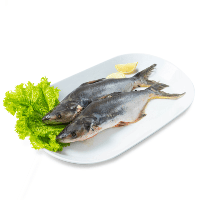 Ikan Patin Utuh Bersih 500-600gram
