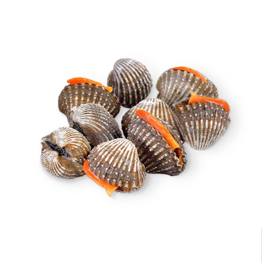 Kerang Dara Utuh Besar Astro Farm 500gram