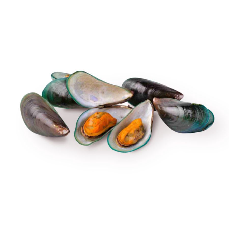 Kerang Hijau Utuh Besar Astro Farm 500gram