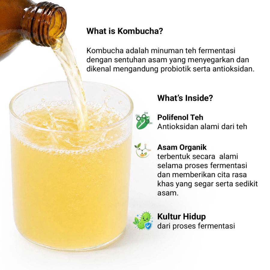 Kombucha Green Tea Teh Fermentasi Astro Goods 330ml