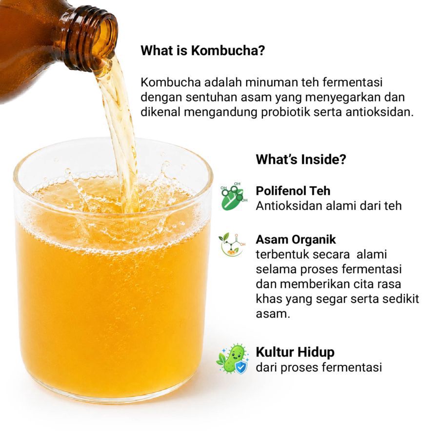 Kombucha Black Tea Teh Fermentasi Astro Goods 330ml